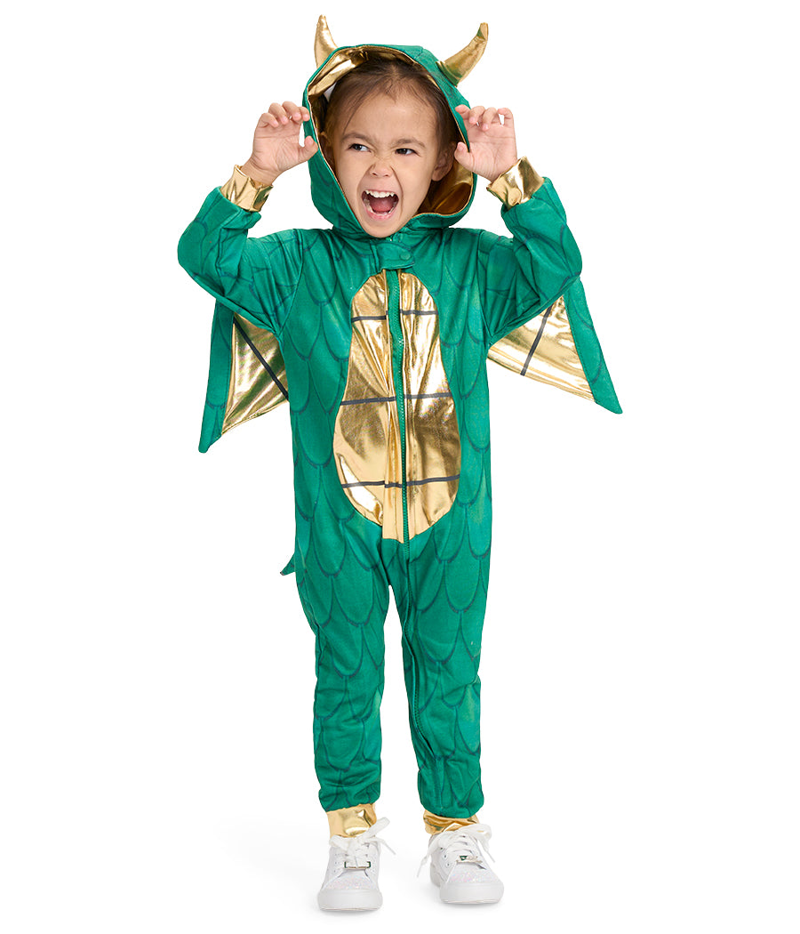 Toddler Girl's Dragon Costume