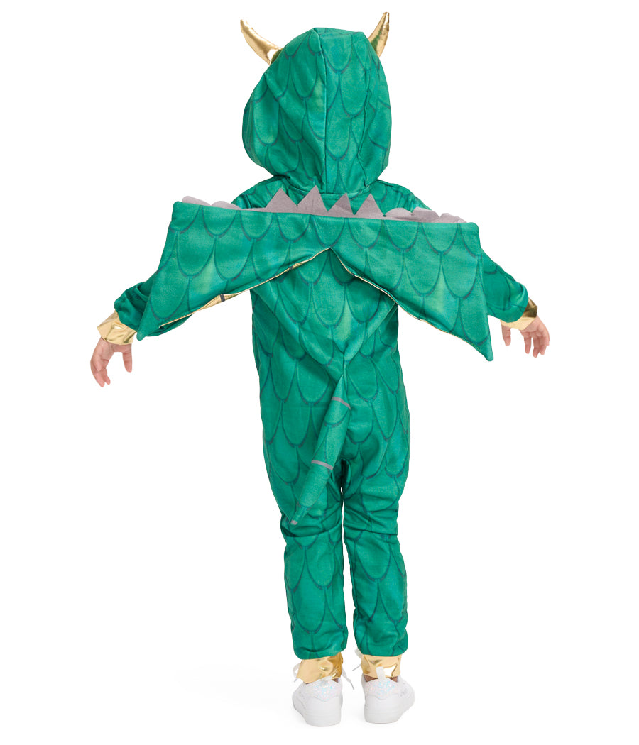 Toddler Girl's Dragon Costume