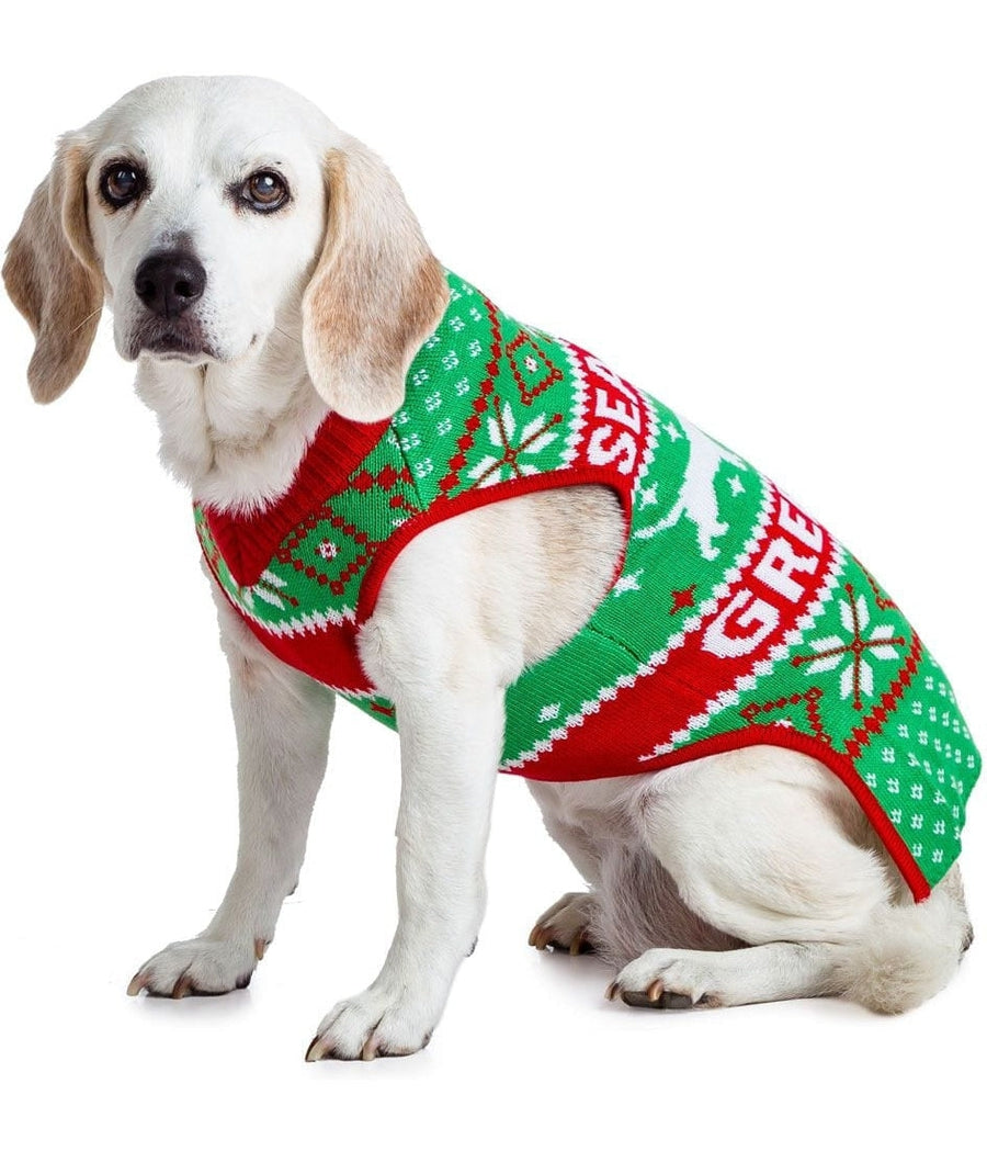 Xs dog best sale christmas sweater