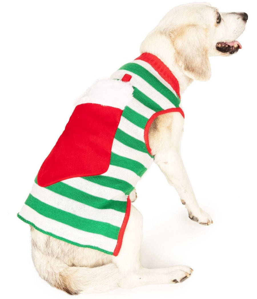 Stocking Stuffer Dog Sweater