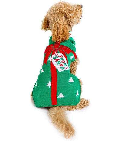 dogs-in-ugly-christmas-sweathers – Motley News, Photos and Fun