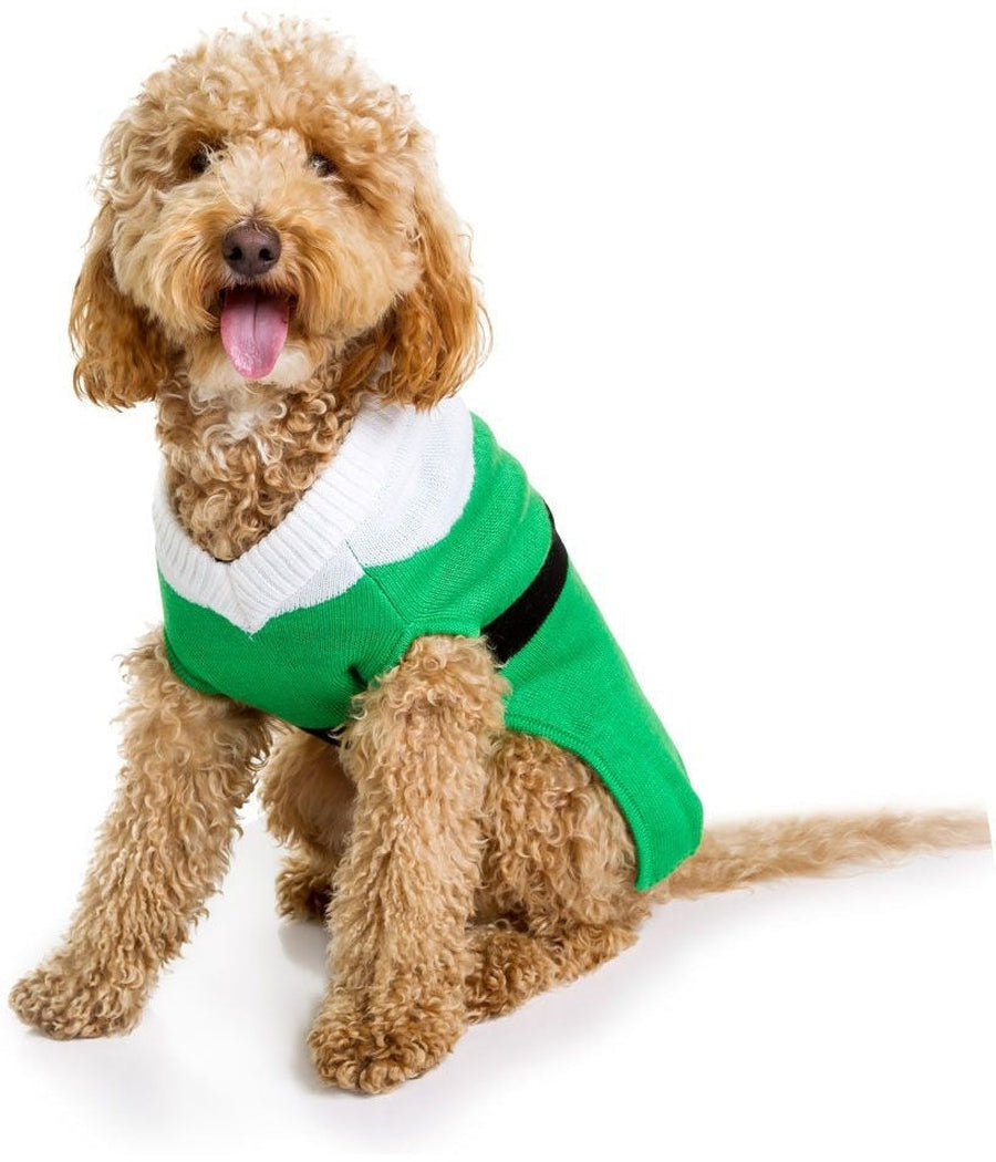 Dog hot sale grinch sweater