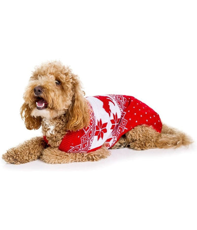 27 Best Dog Sweaters for Christmas in 2023