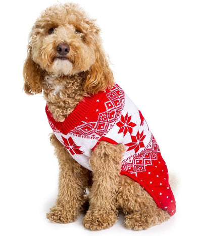 https://www.tipsyelves.com/cdn/shop/products/Naughty-humping-dog-sweater-02.jpg?v=1659066373&width=400